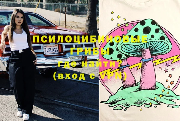 мдпв Абинск
