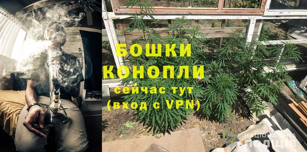 дурь Рославль