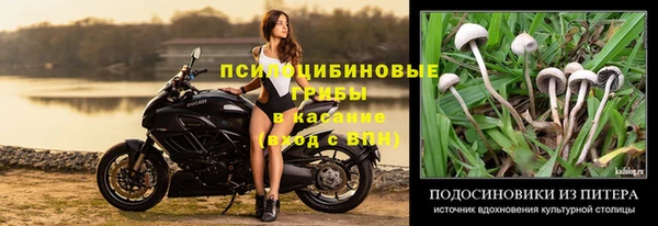кокс Абдулино