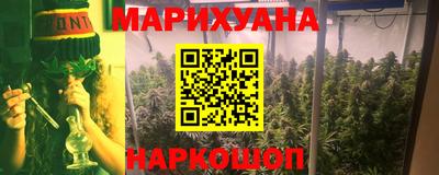 прущие грибы Дубна
