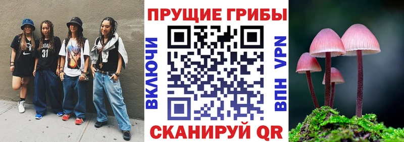 Галлюциногенные грибы Psilocybe  гидра   Новоалтайск  закладки 