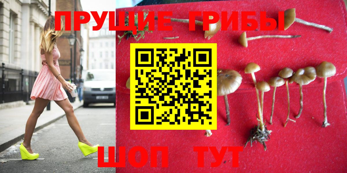 Новоалтайск  Галлюциногенные грибы Cubensis  Вход с VPN  Псилоцибиновые грибы MAGIC MUSHROOMS 