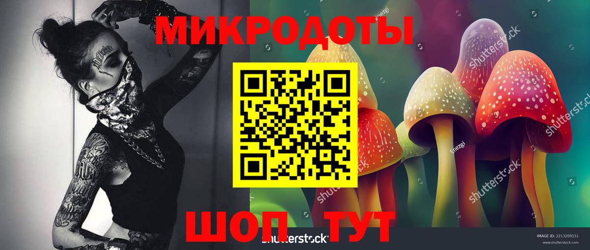 Псилоцибиновые грибы мухоморы Новоалтайск